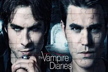 Damon and Stefan jigsaw puzzle