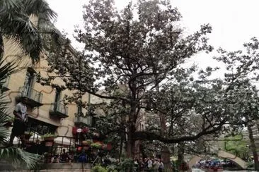 פאזל של San Antonio River Walk (4)