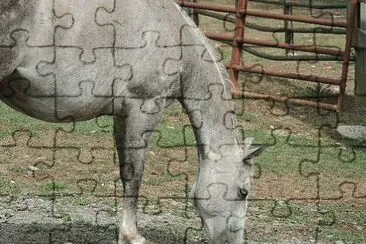 Mare jigsaw puzzle