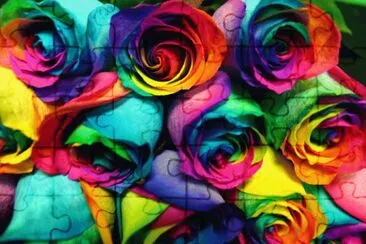 Dye Dipped Rainbow Roses