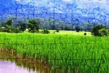 Landscapes farm, Cambodia