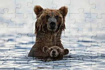 mom#216 jigsaw puzzle