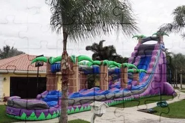 Inflatable Water Slide-Whee!