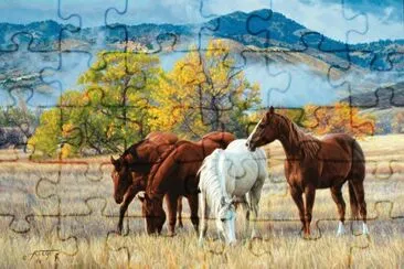 cavalos jigsaw puzzle