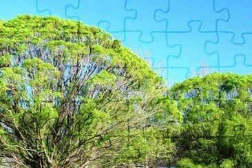 spring-137 jigsaw puzzle