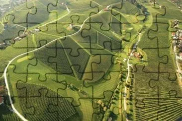 campo jigsaw puzzle