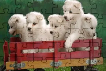 13 jigsaw puzzle