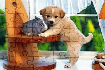 14 jigsaw puzzle