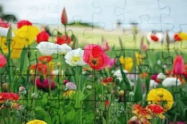 Landschaft jigsaw puzzle