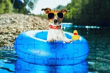 Cool Dog Floating with Rubber Ducky jigsaw puzzle