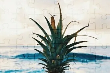 Pineapple jigsaw puzzle