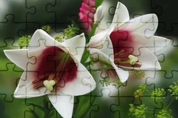 99 jigsaw puzzle