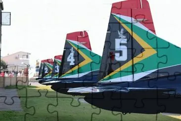 Falcons lined up jigsaw puzzle