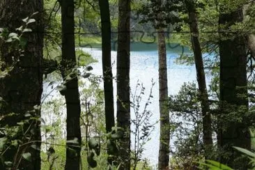 Laguna Las Corinas. NeuquÃ©n. Argentina