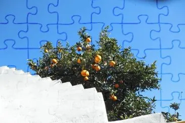 naranjas jigsaw puzzle