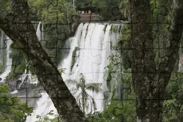 En el PN IguazÃº. Misiones. Argentina