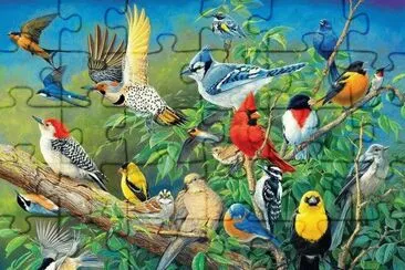 Cuadro de pajaros en pintura