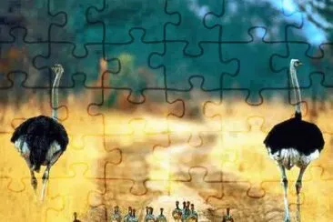 imagens jigsaw puzzle