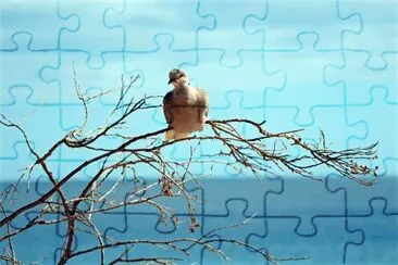 fuerteentura jigsaw puzzle