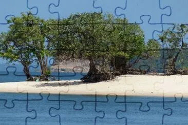 NATUREZA jigsaw puzzle