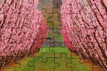 NATUREZA jigsaw puzzle