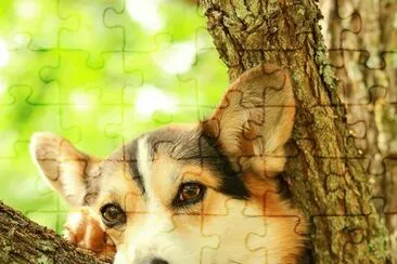 :) jigsaw puzzle