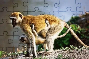 mom#220 jigsaw puzzle