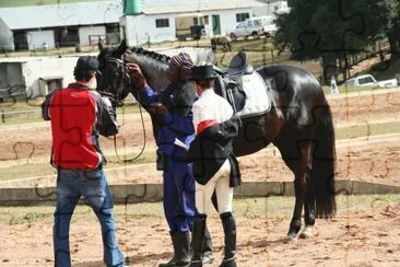 Dressage 8 jigsaw puzzle