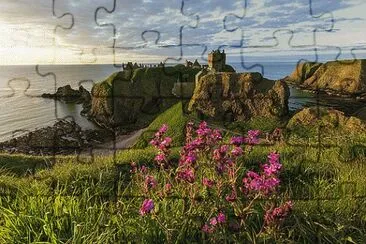 NATUREZA jigsaw puzzle