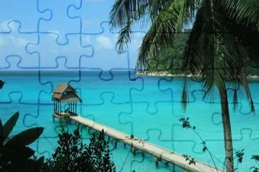 vzla jigsaw puzzle