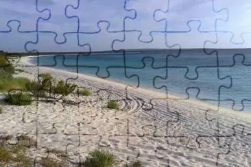 vzla jigsaw puzzle