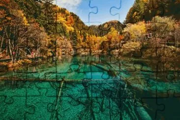 vzla jigsaw puzzle