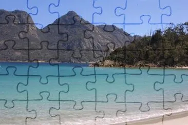 vzla jigsaw puzzle