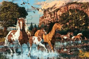 cavalos jigsaw puzzle