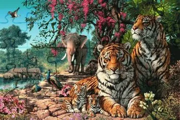 tigres jigsaw puzzle