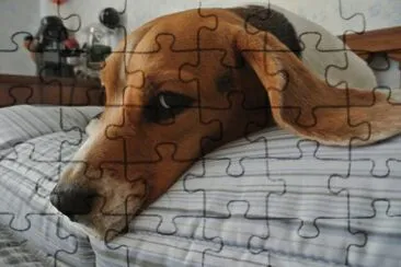 Vi vedo e vi tengo d   'occhio jigsaw puzzle