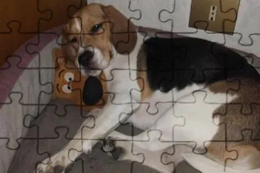 Amici per la pelle jigsaw puzzle