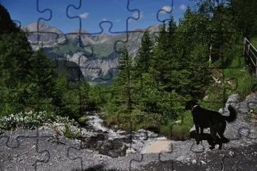 Blick ins Tal jigsaw puzzle