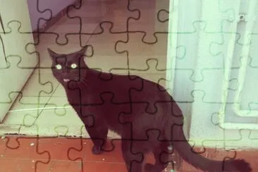 Gato Preto jigsaw puzzle