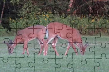 Is the grass greener over your way? jigsaw puzzle