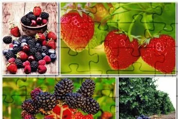 Obst jigsaw puzzle