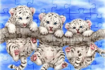 tigres jigsaw puzzle