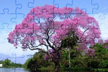 ipÃª jigsaw puzzle