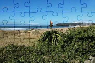 Durban Beachfront 2 jigsaw puzzle