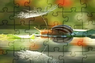 Fotografias Curiosas para Disfrutarlas jigsaw puzzle