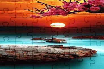 1011 jigsaw puzzle