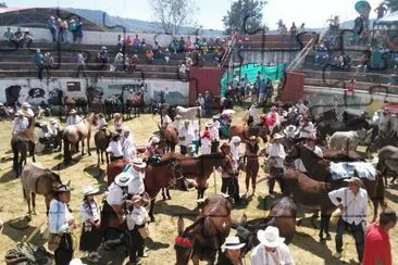 feria ganadera