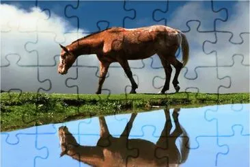 horsie jigsaw puzzle