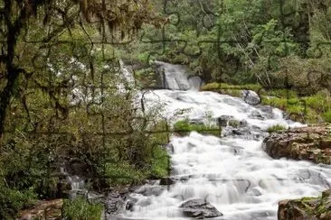 Salto Piedras Blancas. Misiones. Argentina