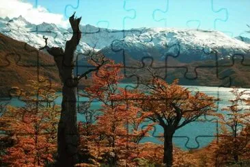 En El ChaltÃ©n. Patagonia Argentina jigsaw puzzle